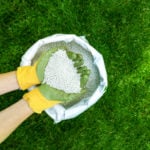 Lawn Fertilizer Schedule