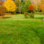 Lawn Fertilization Schedule