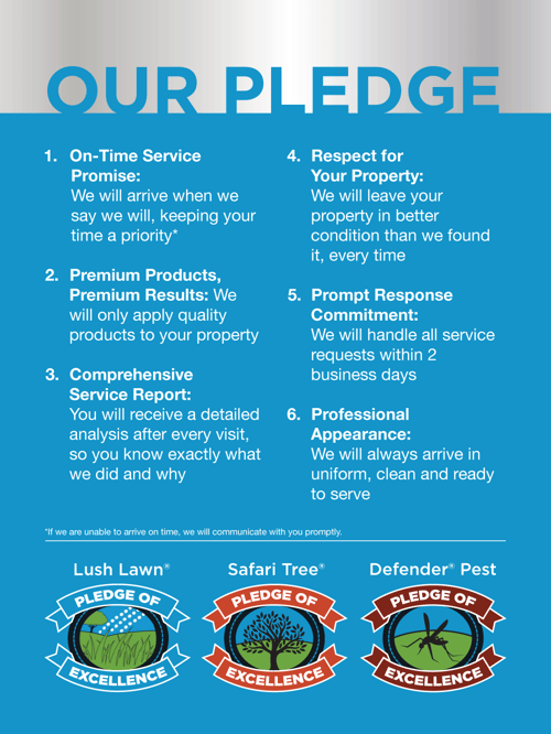 Pledge-of-Excellence-Poster-email2 (1)