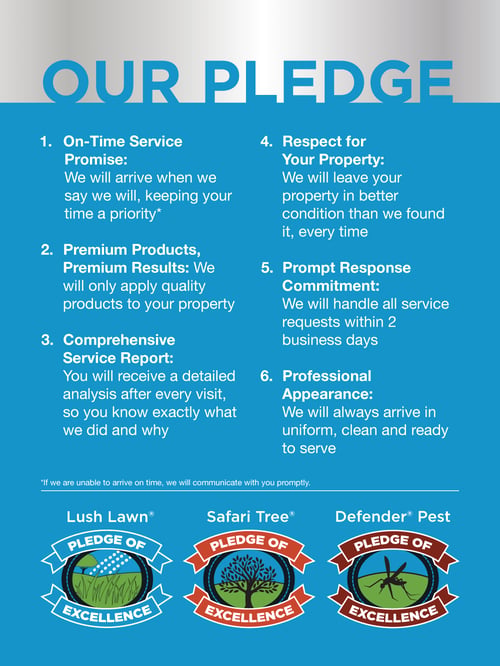 Pledge-of-Excellence-Poster-email2 Pledge-of-Excellence-Poster-email2