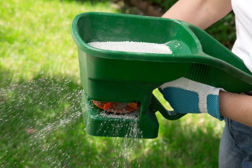 How to Choose the Best Summer Fertilizer for Grass