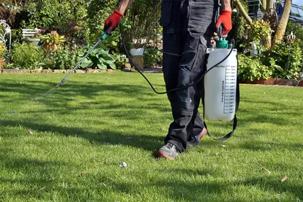 Lawn & Tree Service