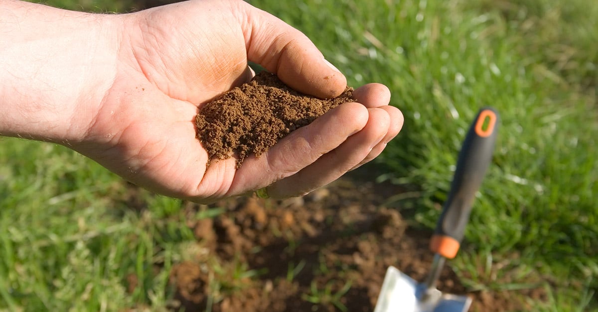 soil-testing-social